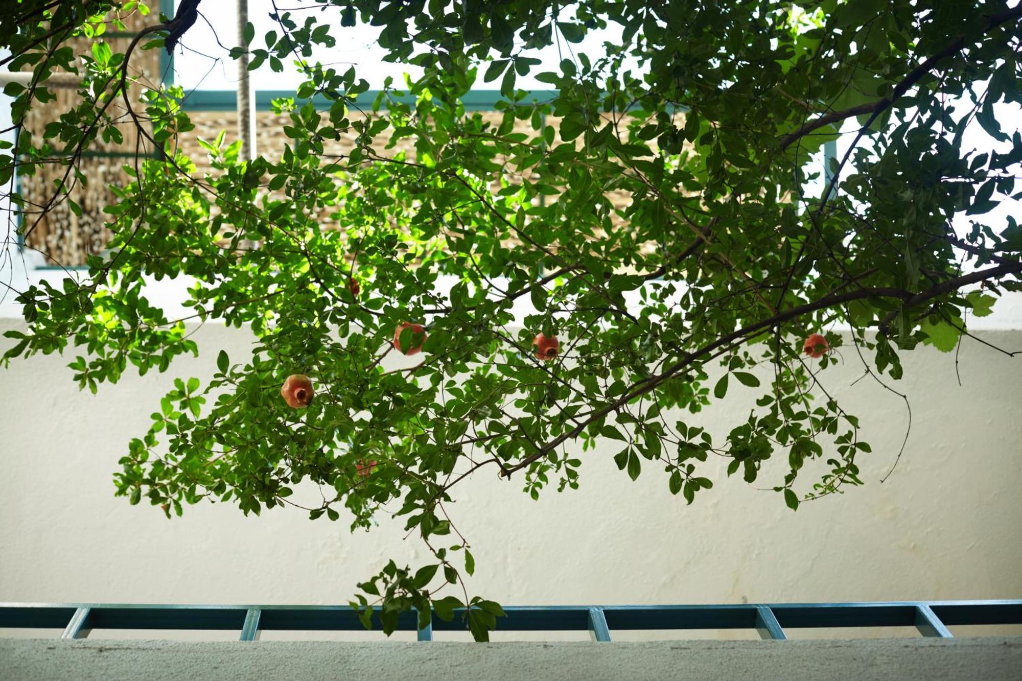 Madera Hotel Tbilisi Luaran gambar